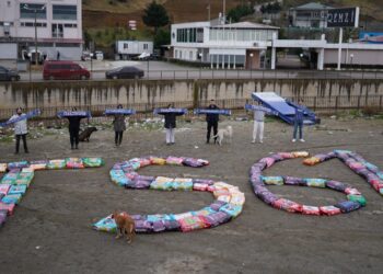 Trabzonsporlu taraftarlar sokak hayvanlarını unutmadı