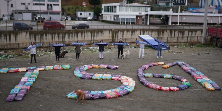 Trabzonsporlu taraftarlar sokak hayvanlarını unutmadı