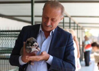 Didim Belediyesi sokak hayvanları için mama üretimine başlıyor