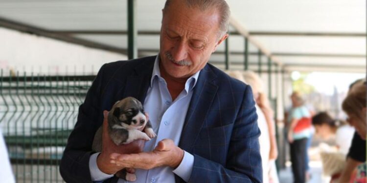 Didim Belediyesi sokak hayvanları için mama üretimine başlıyor