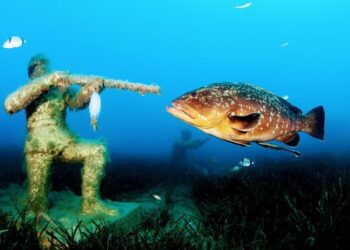İzmirli su altı fotoğrafçısı dünya birincisi oldu