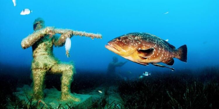 İzmirli su altı fotoğrafçısı dünya birincisi oldu