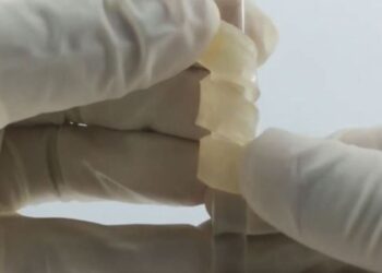 Bilim insanları esnek, ateşe dayanıklı ve küf korumalı ahşap geliştirdi