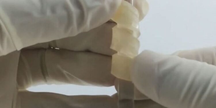 Bilim insanları esnek, ateşe dayanıklı ve küf korumalı ahşap geliştirdi