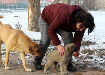 Soğuk havada sımsıcak ilgi