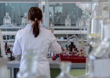 Bilim insanları, kalamar gözünün gelişimi için gerekli olan bir gen ağı keşfetti