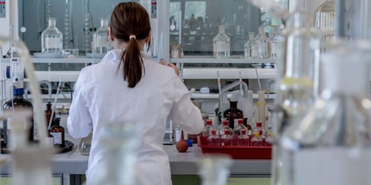 Bilim insanları, kalamar gözünün gelişimi için gerekli olan bir gen ağı keşfetti