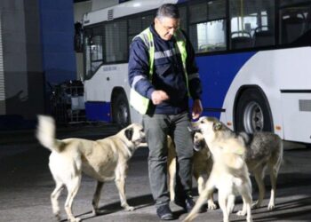 Topladığı yemeklerle 150 köpeğe bakıyor