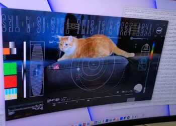 NASA’dan mesaj: Dünya’ya 31 milyon kilometre mesafeden kedi videosu gönderildi