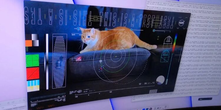 NASA’dan mesaj: Dünya’ya 31 milyon kilometre mesafeden kedi videosu gönderildi