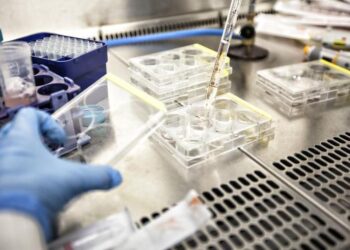 Otizm tedavisi için umut verici gelişme