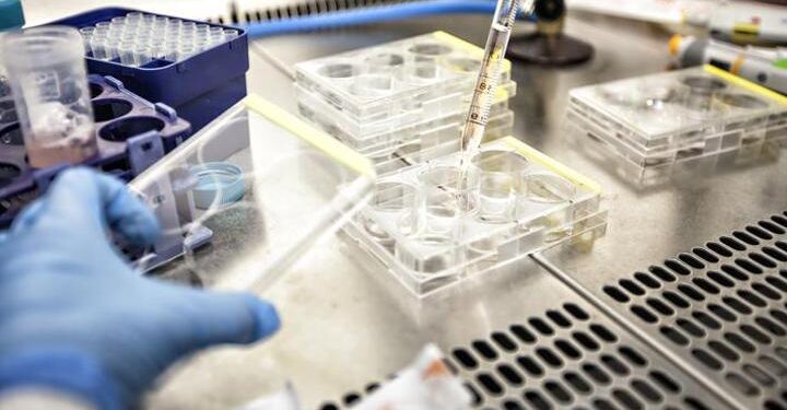 Otizm tedavisi için umut verici gelişme