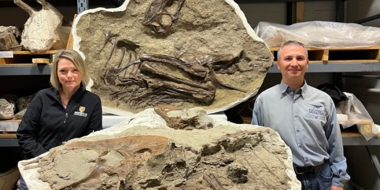 75 milyon yıl önceki yemek: Midesinde yediği son öğünle ilk dinozor fosili keşfedildi