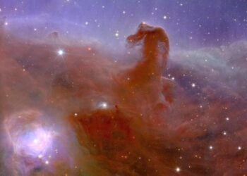 Evrenin haritasını ‘Öklid’ çıkaracak