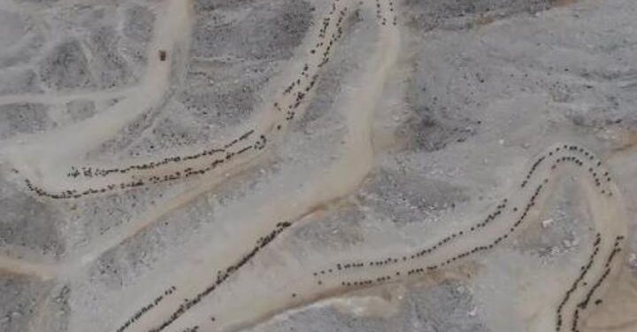 Epik bir film sahnesi değil… Komandolardan ‘100’üncü yıl’ tırmanışı