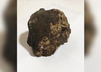 Ceviz ağacı dikerken meteorit buldu
