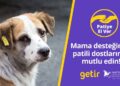 Getir’den hayvan barınaklarına 1,5 milyon kap mama