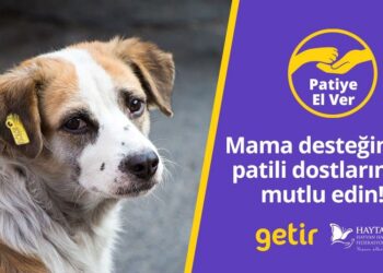 Getir’den hayvan barınaklarına 1,5 milyon kap mama