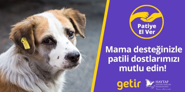 Getir’den hayvan barınaklarına 1,5 milyon kap mama