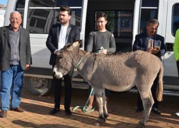 Gazipaşalı gençler yaylada terk edilen eşeği kurtardı