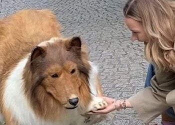 Hayalini gerçekleştirdi! Köpeğe benzemek için 380 bin lira harcadı