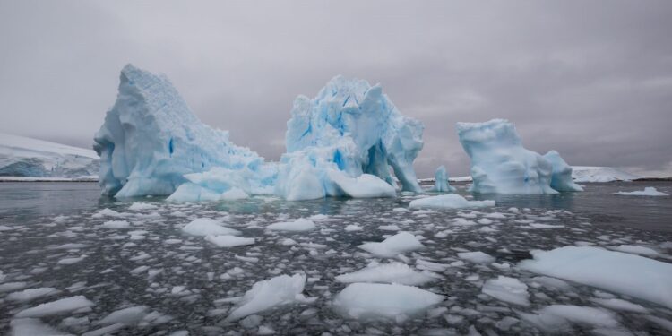 Antarktika’da 20 kollu deniz canlısı keşfedildi