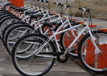 Türkiye’nin en yeşil 4. devlet üniversitesi: Aksaray Üniversitesi