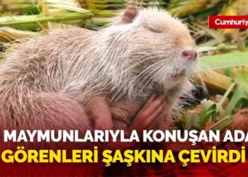 Edirne’de su maymunlarına konuşan adam görenleri şaşkına çevirdi
