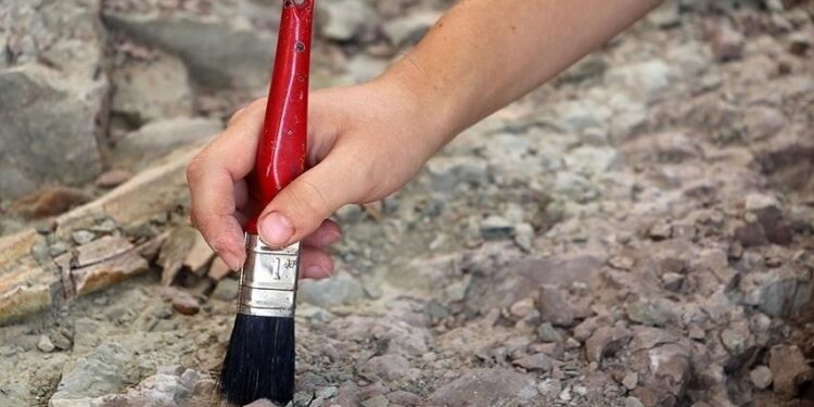 Çin’de “eşsiz” keşif: Morfolojik evrime ışık tutuyor