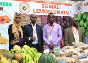 Somali’nin ilk tarım fuarı açıldı