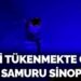 Nesli tükenmekte olan su samuru Sinop’ta görüntülendi