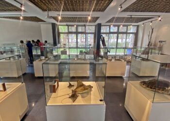 Mersin’de gömülen deniz canlılarının iskeletleri müzede sergilenecek