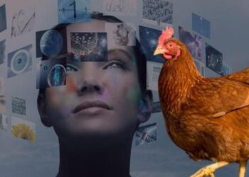 Dünya yeni bir çağa giriyor! Kanıtı ise tavukların değişen iskelet yapısı