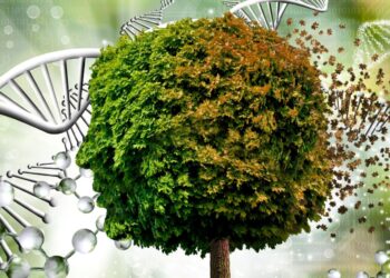 ABD’de araştırmacılar, gen düzenlemesiyle yüksek verimli ağaç yetiştirdi