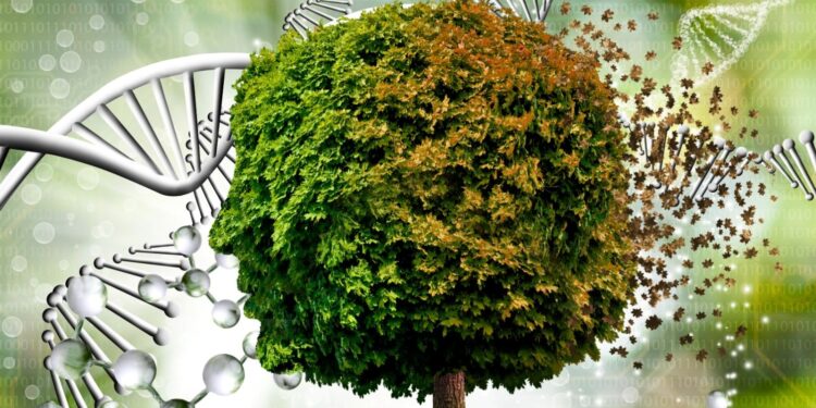 ABD’de araştırmacılar, gen düzenlemesiyle yüksek verimli ağaç yetiştirdi