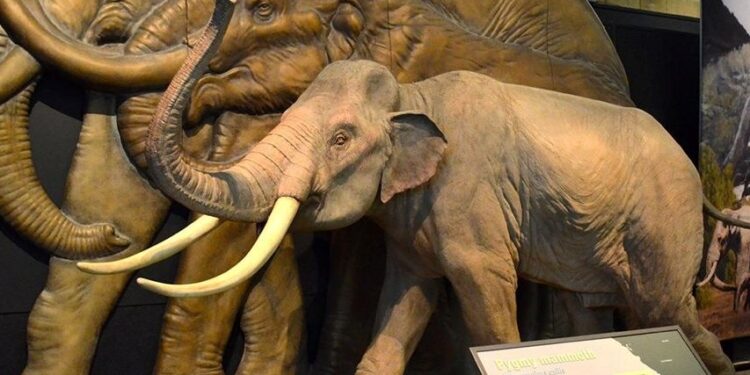 İngiltere’de 450 bin yıllık mamut fosili bulundu