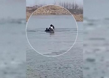 Atıyla buz gibi nehre atladı, can kurtardı! 🐎 🩵