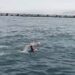 Soğuk sular, büyük hedefler! Milli yüzücüler Intercontinental Open Water Swimming’e hazırlanıyor 🔥🏆