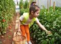 Erdemli Belediyesi’nden örnek proje! ‘Çocuk serası’nda minikler üretiyor, doğayı keşfediyor ✨🥕