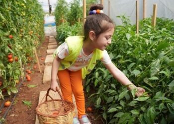 Erdemli Belediyesi’nden örnek proje! ‘Çocuk serası’nda minikler üretiyor, doğayı keşfediyor ✨🥕
