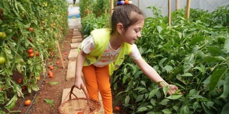 Erdemli Belediyesi’nden örnek proje! ‘Çocuk serası’nda minikler üretiyor, doğayı keşfediyor ✨🥕