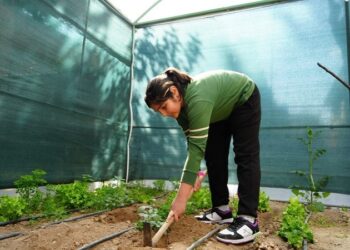Türkiye’nin ilk Sünger Okulu sürdürülebilir tarımda öncü oluyor, çocuklar doğayla büyüyor 🌿👩🌾