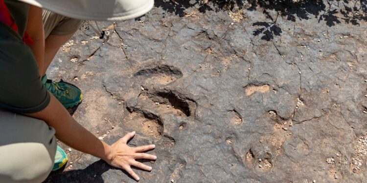 Skye Adası’nda otçul ve etçil dinozorlar bir arada yaşadı: Yeni izler geçmişi aydınlatıyor! 🌿🦖