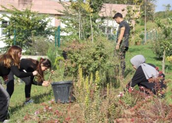 20 yıllık hayal gerçek oldu: Düzce’nin botanik bahçesi dünya çapında tescillendi 🎓🌱