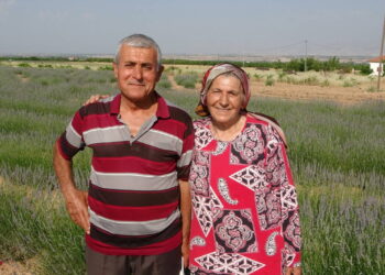 Kendi imkanlarıyla lavanta yetiştirdiler: Kotangölü’nden ilham veren girişimcilik öyküsü 💪🌱