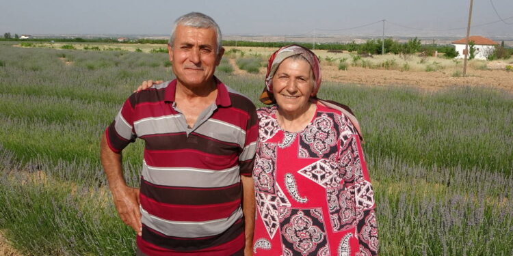 Kendi imkanlarıyla lavanta yetiştirdiler: Kotangölü’nden ilham veren girişimcilik öyküsü 💪🌱